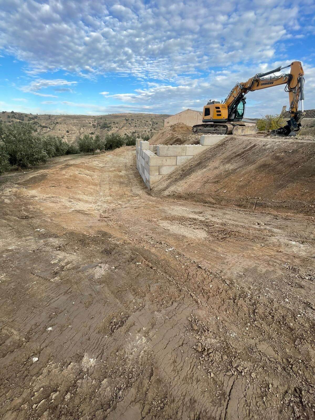 Formación de plataformas