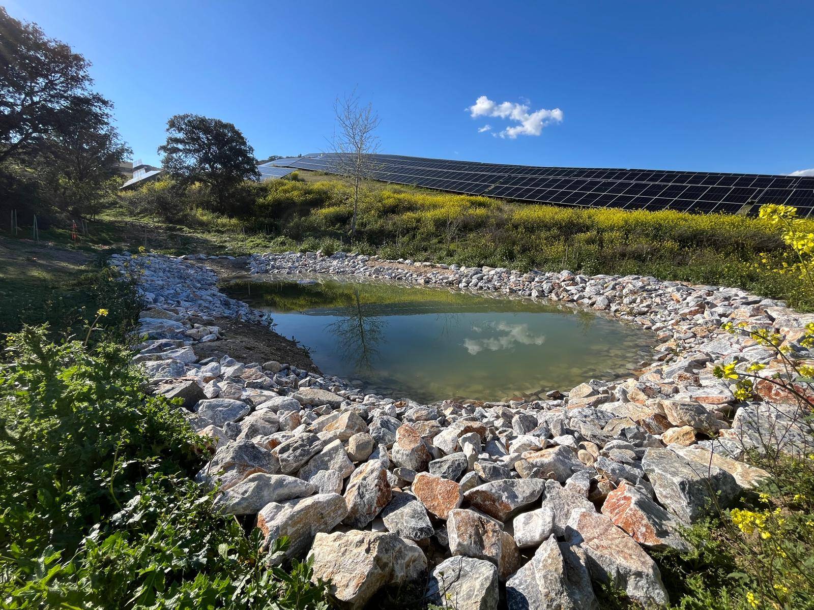 Control de vegetación