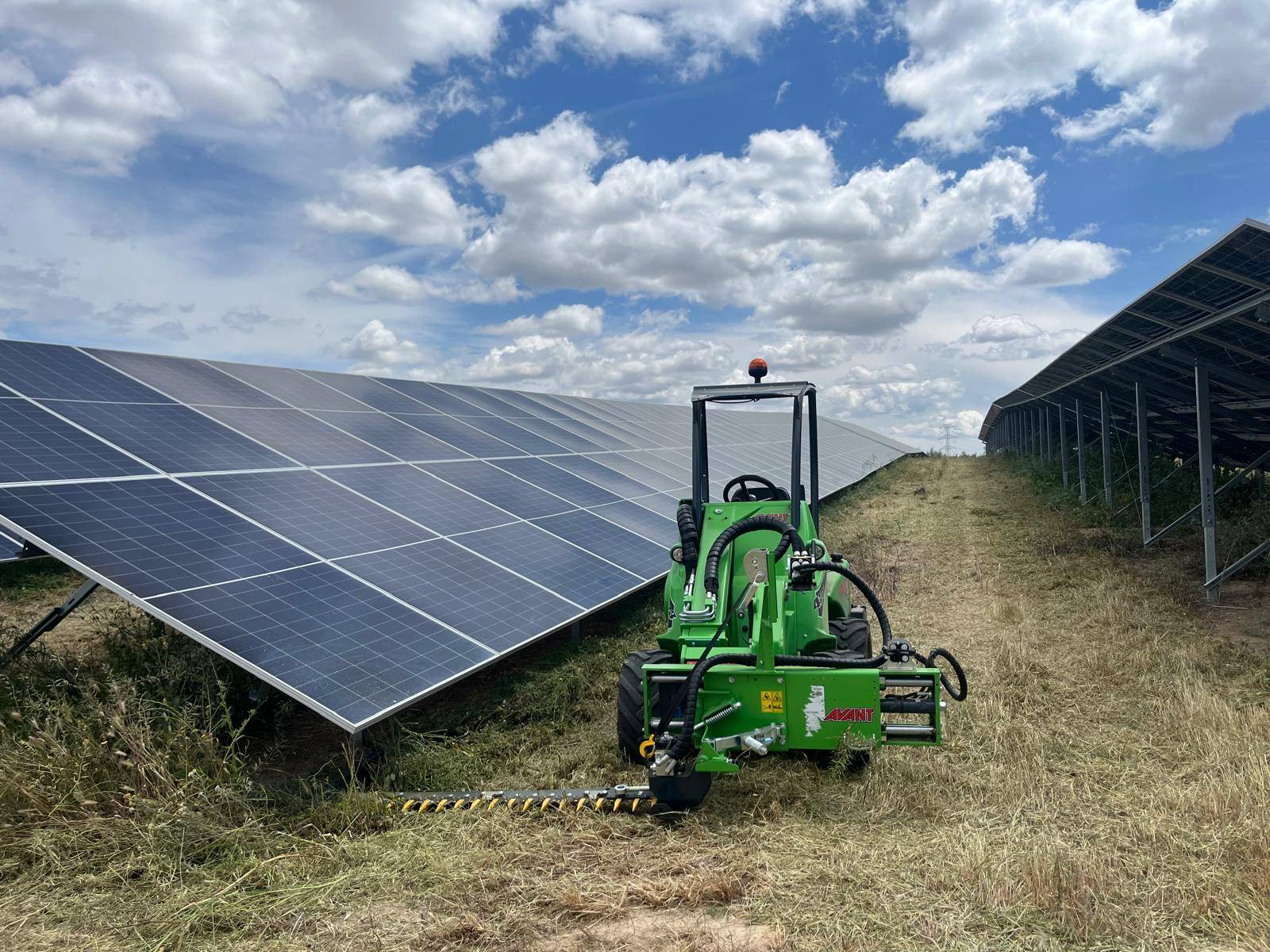 Limpieza y desbroce de parques solares Limpieza y desbroce de parques solares